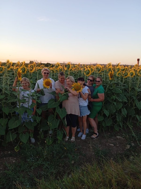 Create meme: girl , photo shoot in the sunflower field, sunflowers in Crimea