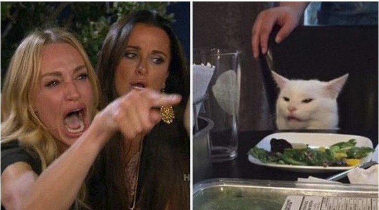 Create meme: cat and two girls meme, the meme with the cat at the table and girls, meme with a cat and two women