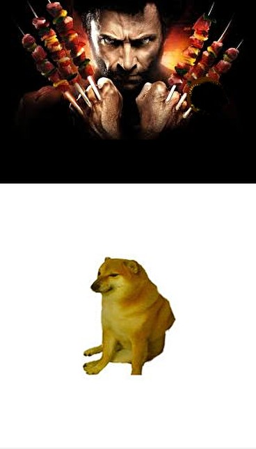 Create meme: Shiba inu doge, X men origins is a Wolverine game, the dog from the meme