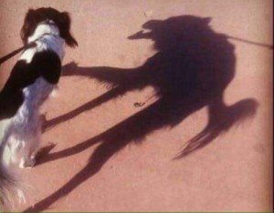 Создать мем: собака оборотень, тень собаки, собака