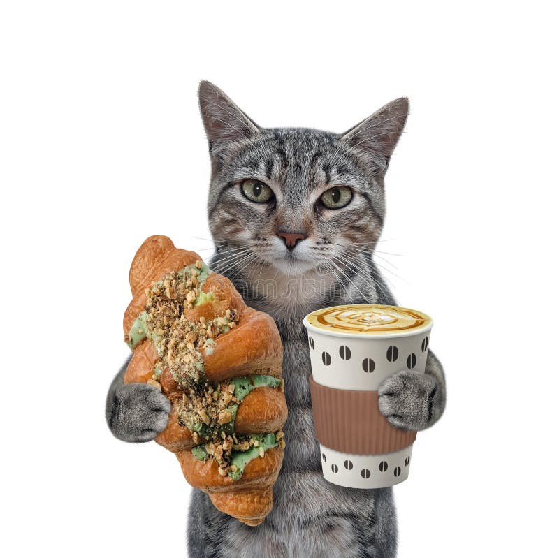 Create meme: a cat with a mug, cat with a cup, cat 