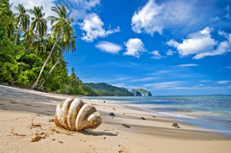 Create meme: sea palm trees sand, beach tropical, sea beach sand 