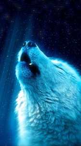 Create meme: wolf howling at the moon, white wolf howls, the Wallpapers of wolves