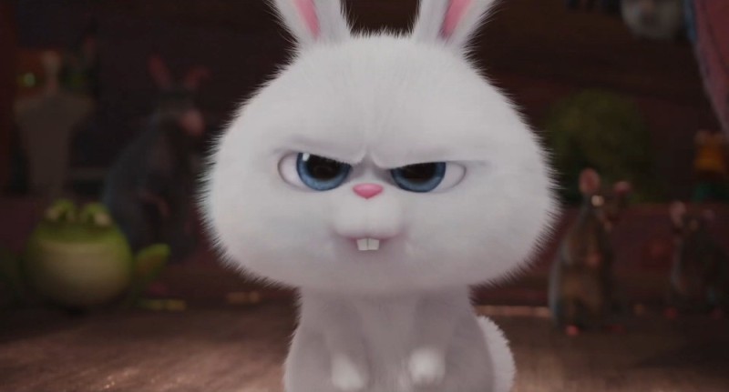 Create meme: The secret life of pets Rabbit is evil, evil rabbit, The secret life of pets Snowball Rabbit is evil