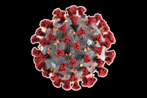 Создать мем: модель коронавируса covid-19, вирус, ассоциации с коронавирусом