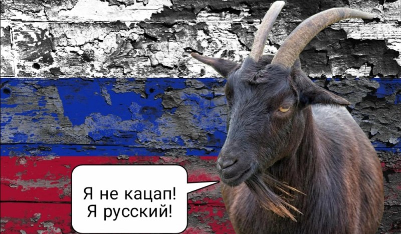 Create meme: Katsap , Katsap the goat, Russian katsaps