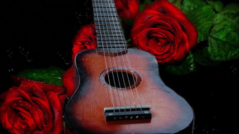 Create meme: guitar and rose, The Spanish guitar is small, guitar with flowers