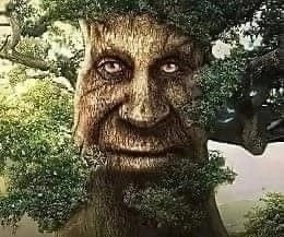 Create meme: male, tree, living tree