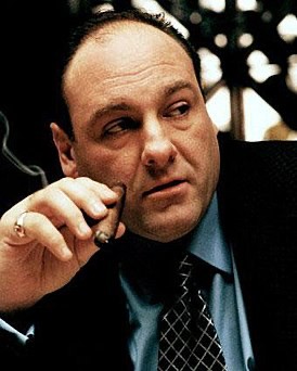 Create meme: the sopranos, humorous quotes, tony soprano s