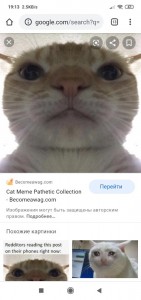 Create meme: cat memes, those who have read the risen meme, Cat