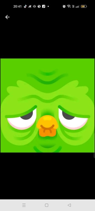 Create meme: owl duolingo, duolingo is evil, duolingo English