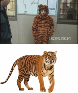 Create meme: tigre, tiger, tiger meme