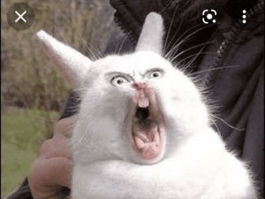 Create meme: screaming hare, screaming rabbit