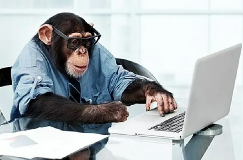 Create meme: A monkey with glasses, computer ape, a monkey with a laptop