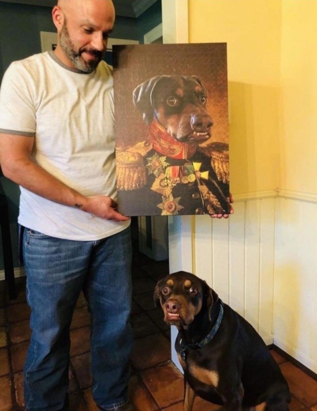 Create meme: dog Rottweiler, dog portrait, Rottweiler 