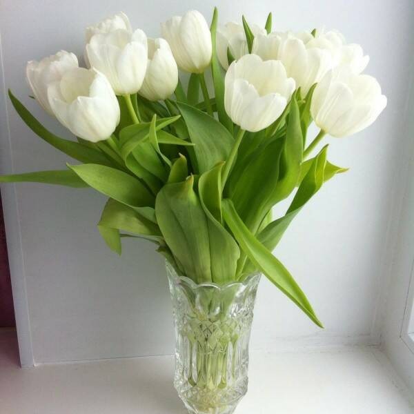 Create meme: white tulips, white tulips bouquet, tulips bouquet