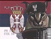 Create meme: the Serbian cat, Slap a big Russian cat, Serbian cat