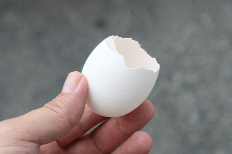 Create meme: eggshells, The shell, eggs