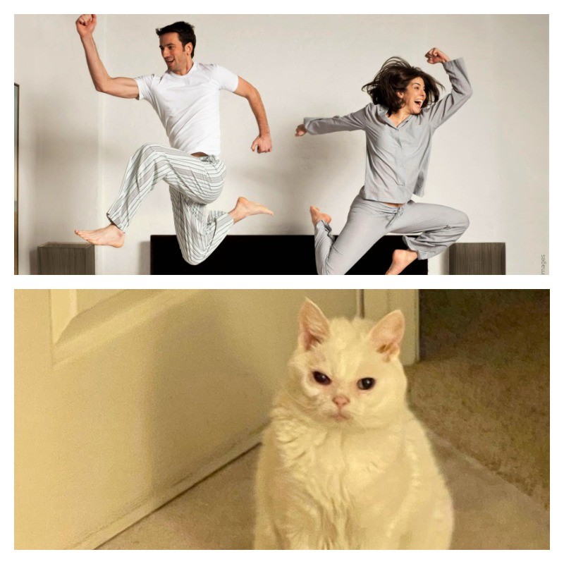 Create meme: cat , an energetic person, a cheerful person in the morning