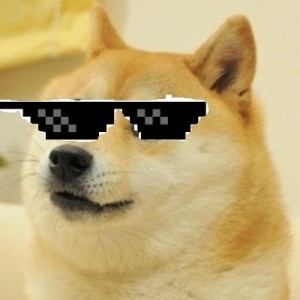 Создать мем: Doge swag