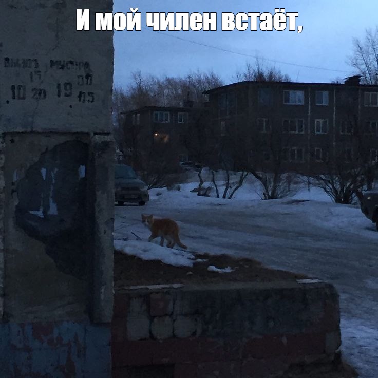 Создать мем: null