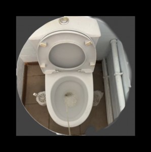 Create meme: toilet, the toilet