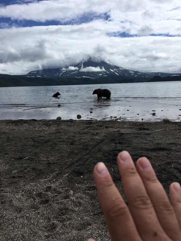 Create meme: Kuril lake Kamchatka, Kamchatka bears , Kuril lake Kamchatka bears