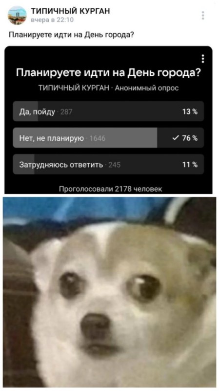 Create meme: dog meme , sad dog meme, Chihuahua meme