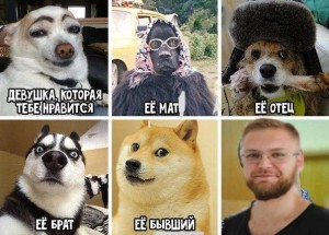 Создать мем: собака мем, doge, doge оригинал