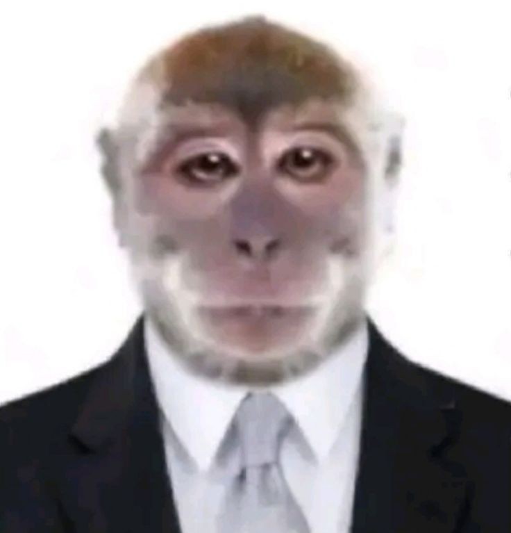 Создать мем: фотография обезьяны, человек, бибизяна