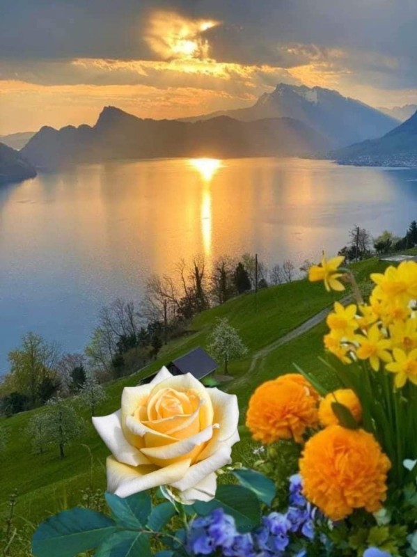 Create meme: good morning cards, beautiful landscapes with roses, christian good morning wishes