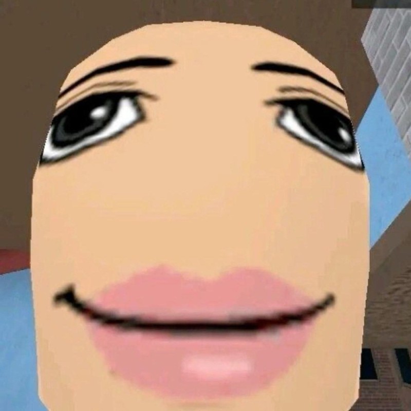 Create meme: The face of a meme from Roblox, roblox meme face, face get