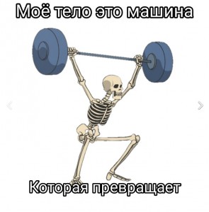 Создать мем: накаченный скелет, скелет со штангой, сложный скелет