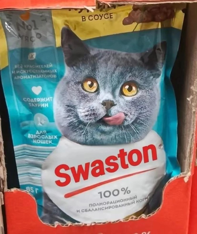 Create meme: cat food watson, cat food watson, watson feed