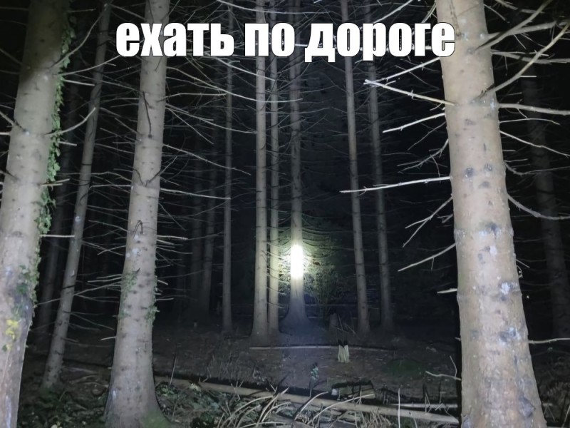 Create meme: dark forest, forest background is dark, into the woods