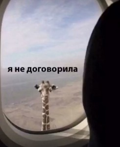 Create meme: I did not finish the picture with a giraffe and plane, giraffe, the window of the plane