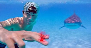 Create meme: shark, selfie with a shark for a second before death, shark attack