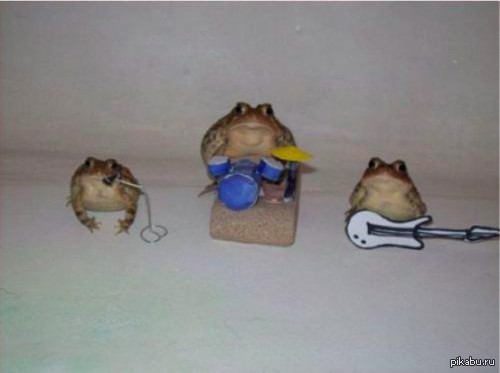 Создать мем: лягушки с инструментами, рок группа лягушек, лягушка жаба